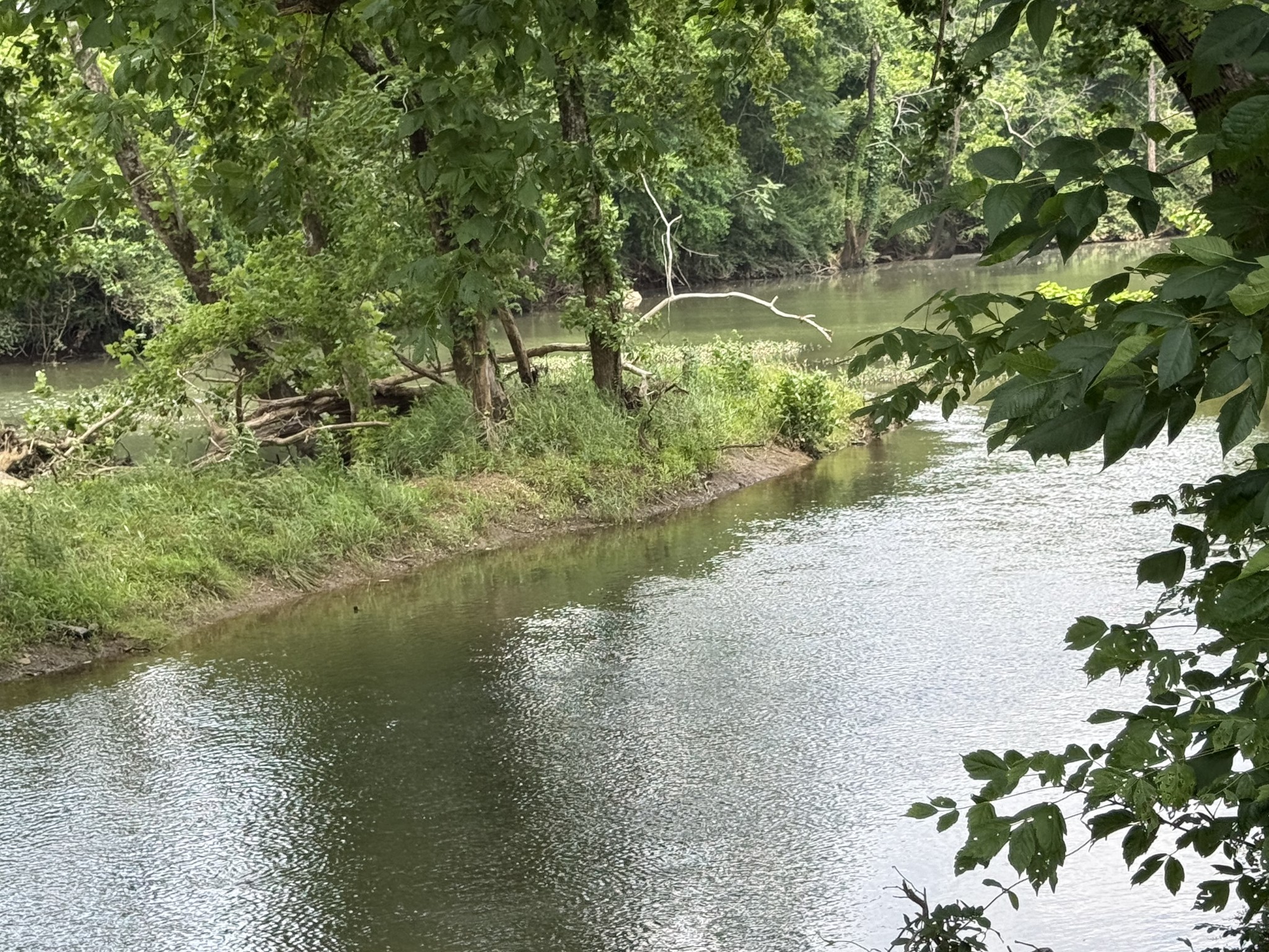 2030 Queenie Johns Drive Murfreesboro, TN 37128 - Photo 95 of 99