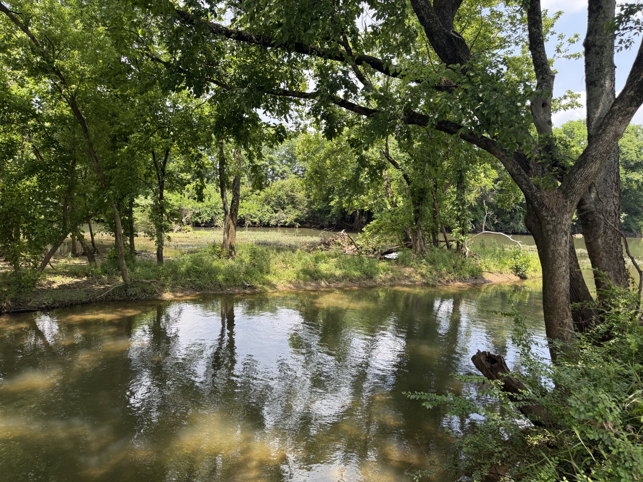 2030 Queenie Johns Drive Murfreesboro, TN 37128 - Photo 96 of 99