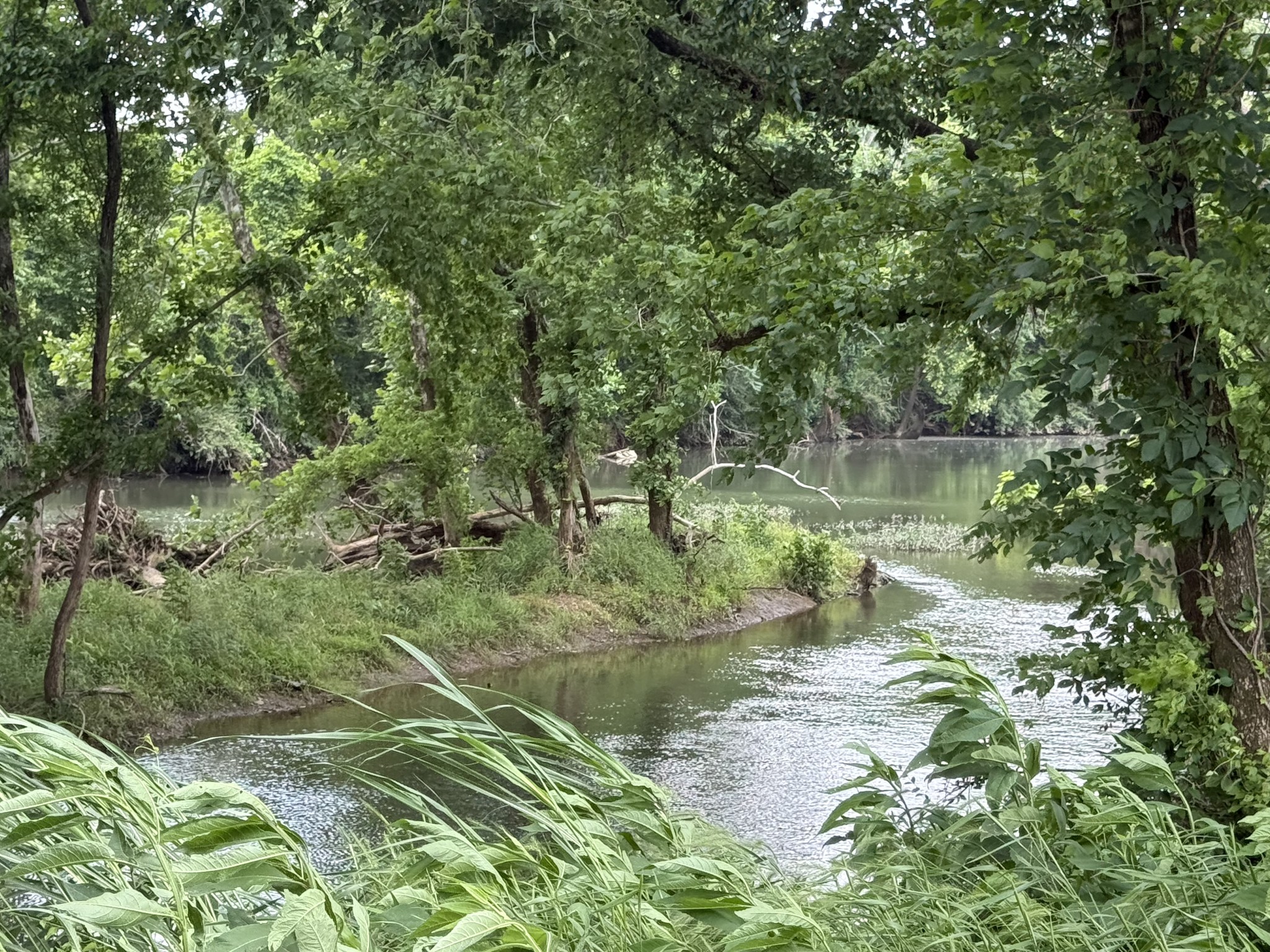 2030 Queenie Johns Drive Murfreesboro, TN 37128 - Photo 97 of 99