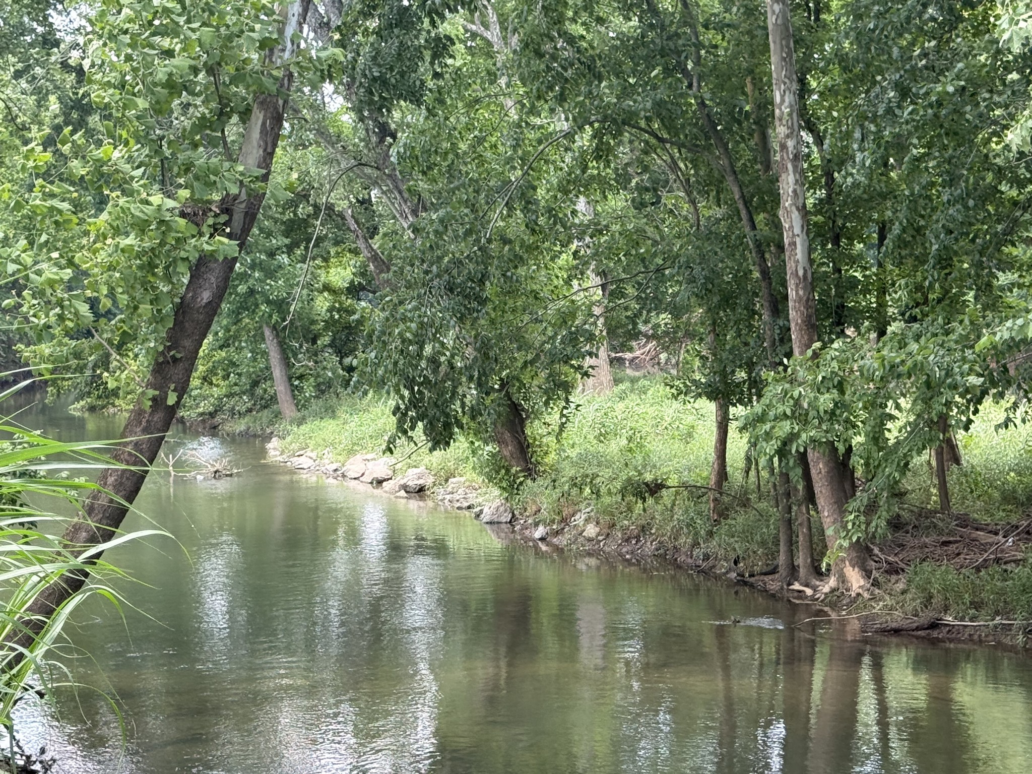 2030 Queenie Johns Drive Murfreesboro, TN 37128 - Photo 98 of 99