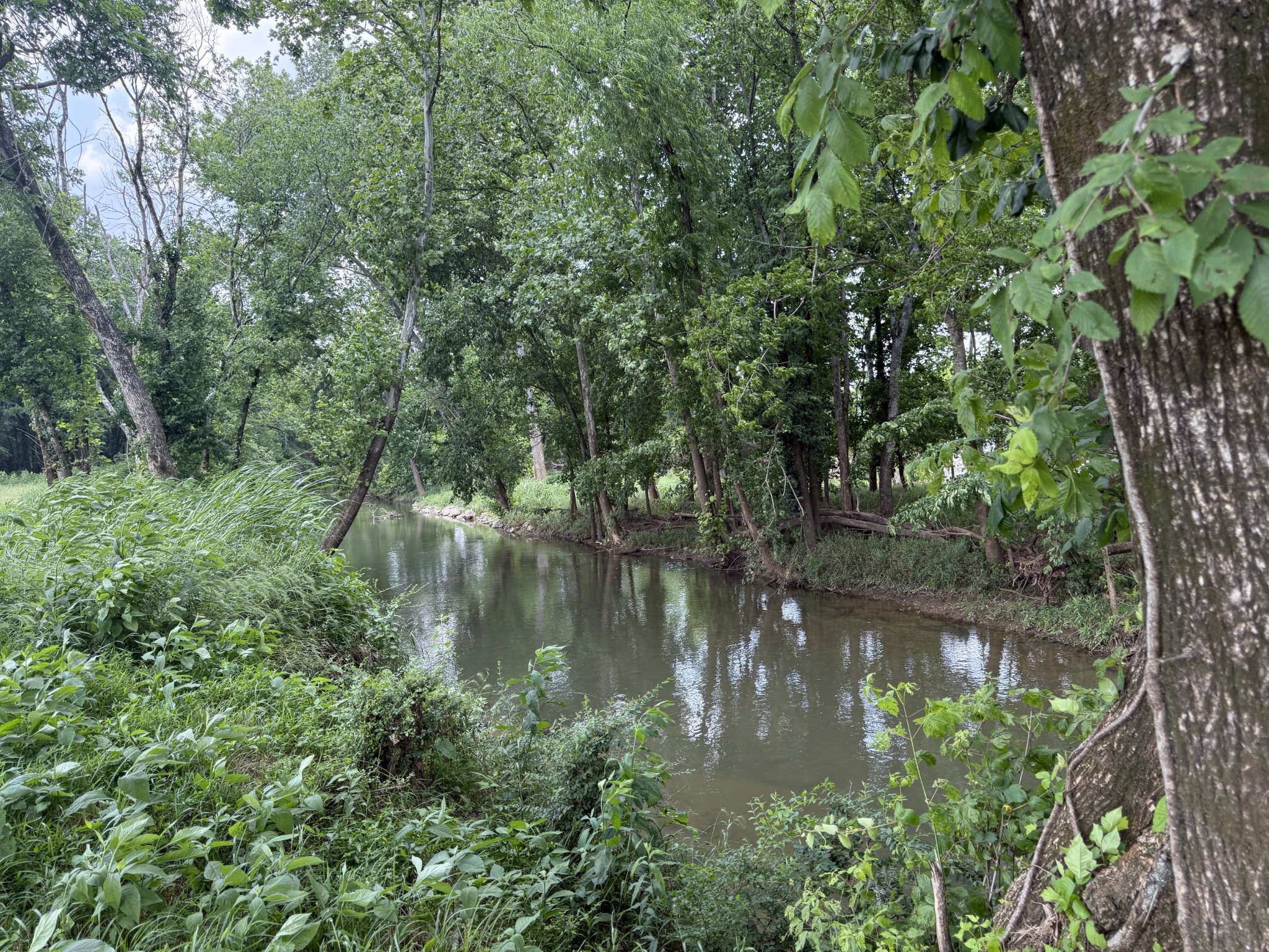 2030 Queenie Johns Drive Murfreesboro, TN 37128 - Photo 99 of 99