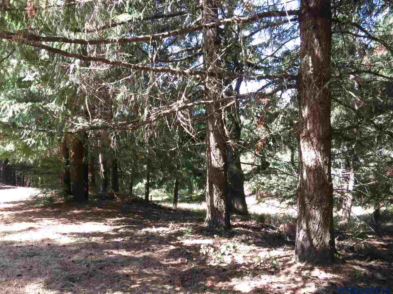 2610 Reuben Boise Road Dallas, OR 97338 - Photo 23 of 37