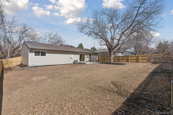 a view of a yard with a large tree