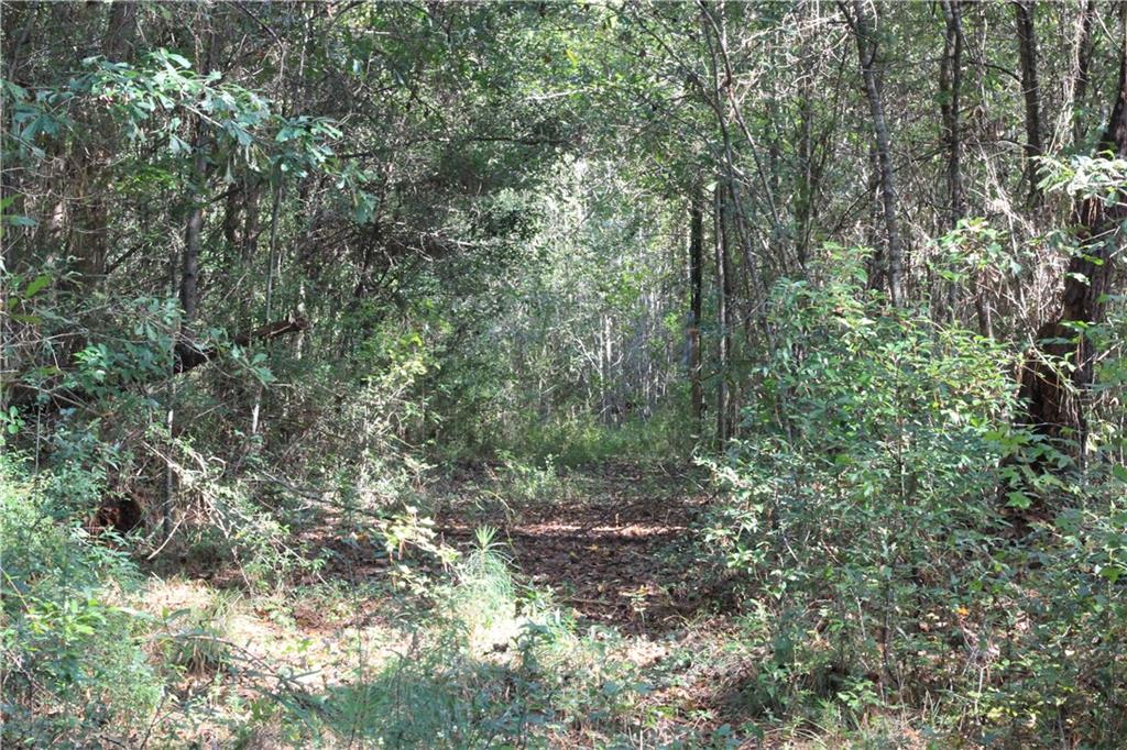 19237 South Fitzmorris Road Covington, LA 70435 - Photo 9 of 12 Gallery Image 9