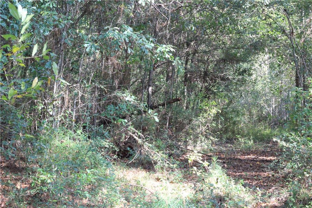 19237 South Fitzmorris Road Covington, LA 70435 - Photo 10 of 12 Gallery Image 10