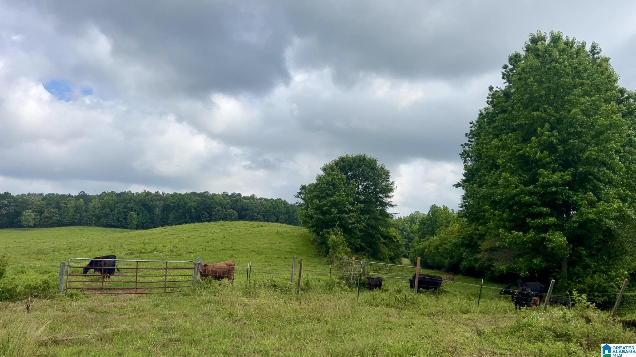 988 Mines Road, Unit 100 Ashland, AL 36251 - Photo 2 of 17