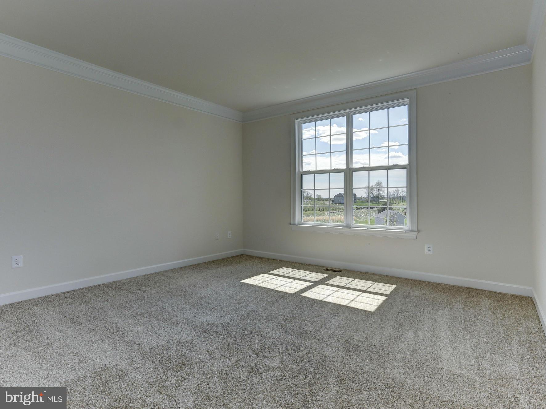1003 Marshane Road Reisterstown, MD 21136 - Photo 10 of 15 Library