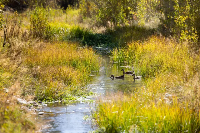 $12,995,000 | 137 Aspen Lakes Drive, Blaine County, ID 83333