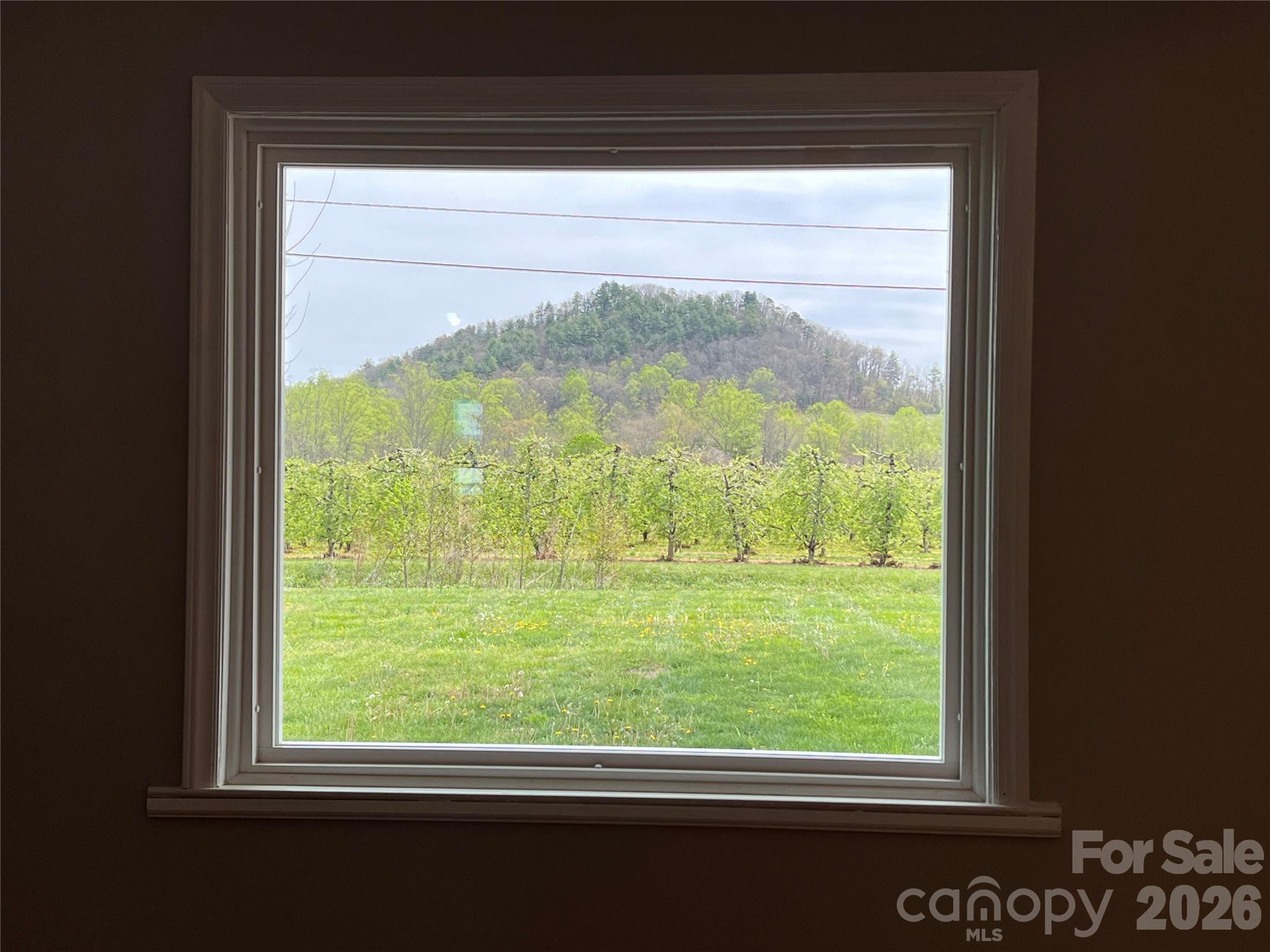 93 Laycock Road Hendersonville, NC 28792 - Photo 12 of 34