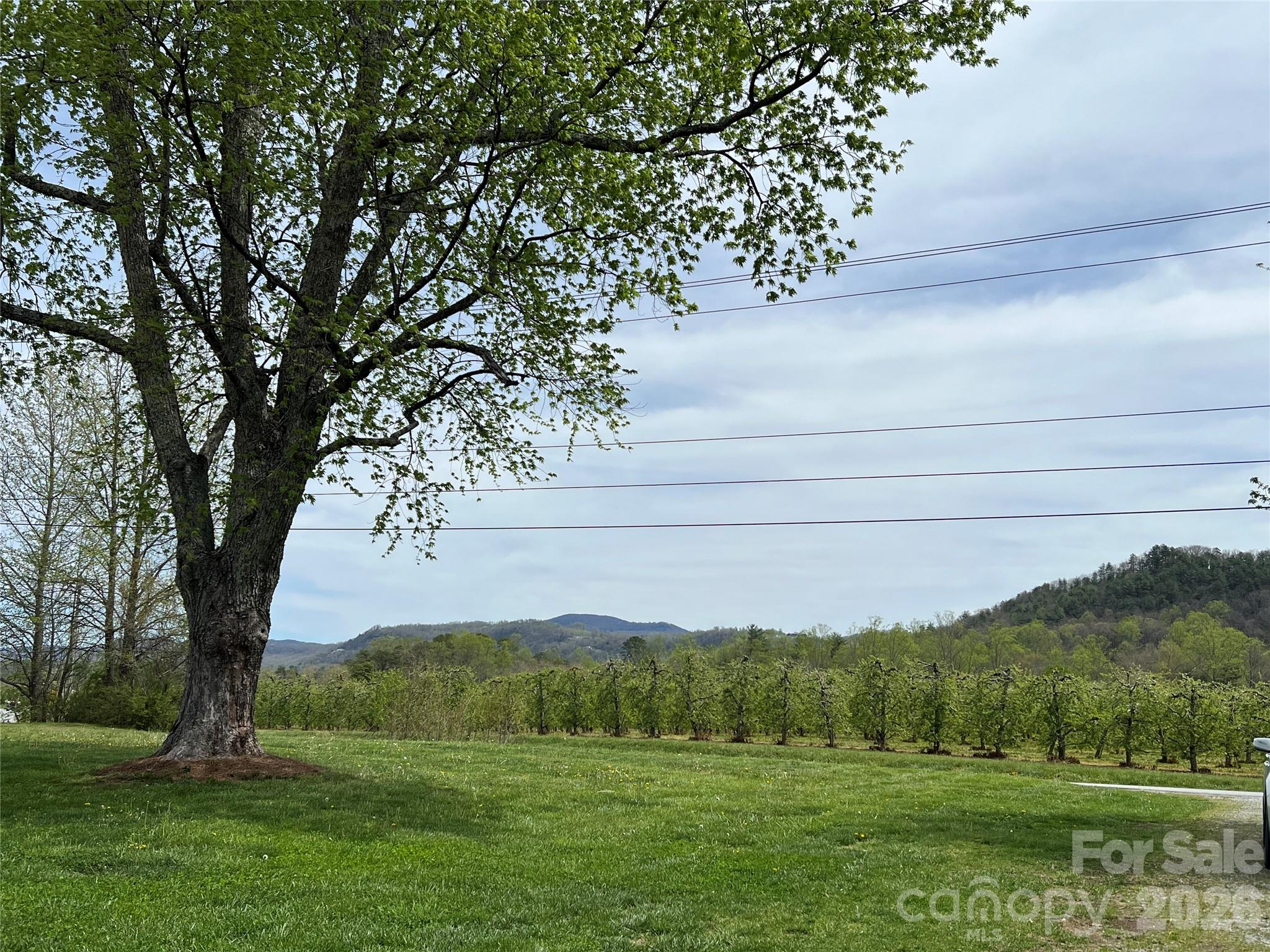 93 Laycock Road Hendersonville, NC 28792 - Photo 2 of 34