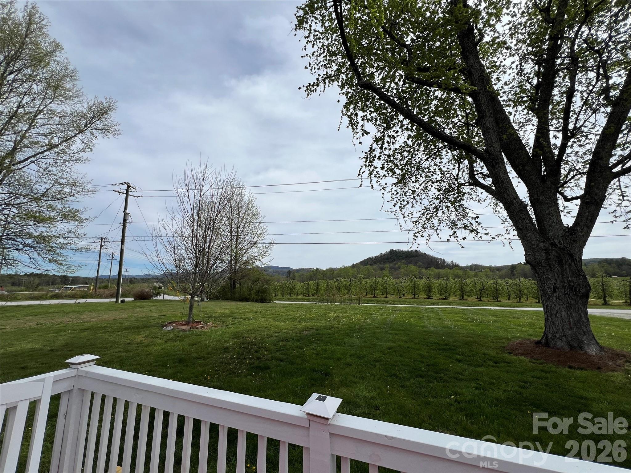 93 Laycock Road Hendersonville, NC 28792 - Photo 5 of 34