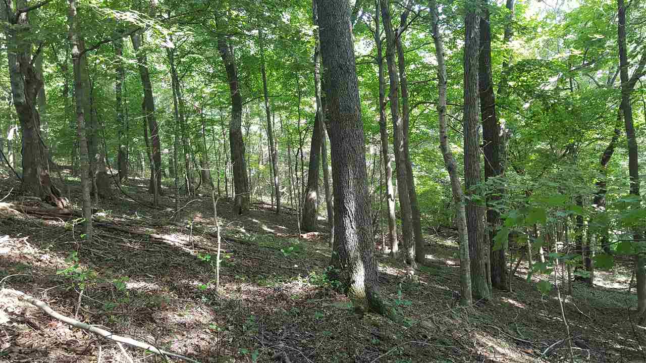 0 Hall Road Sharon Grove, KY 42280 - Photo 6 of 19 Gallery Image 6