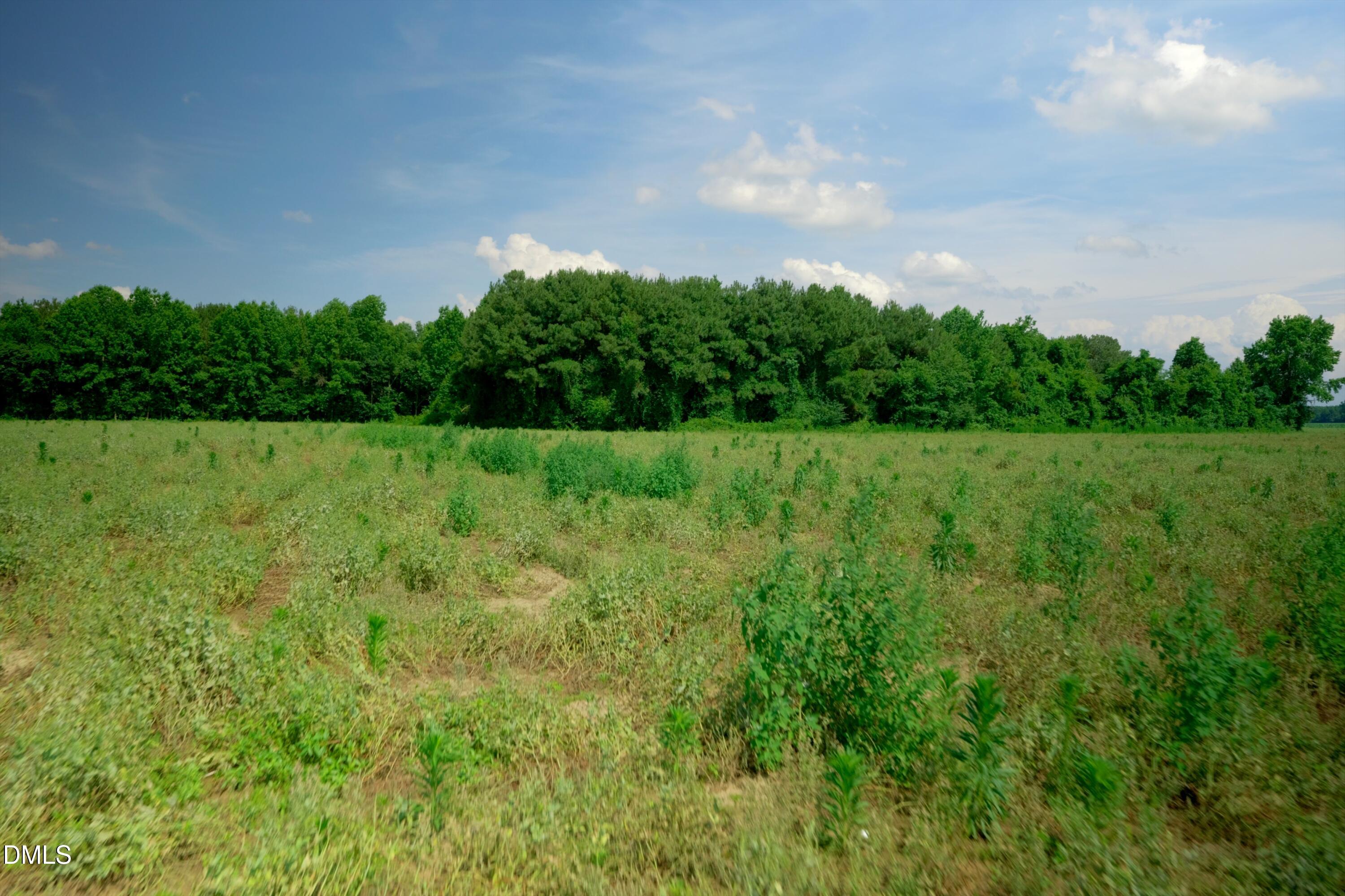 0 Bowden Road Turkey, NC 28393 - Photo 27 of 31