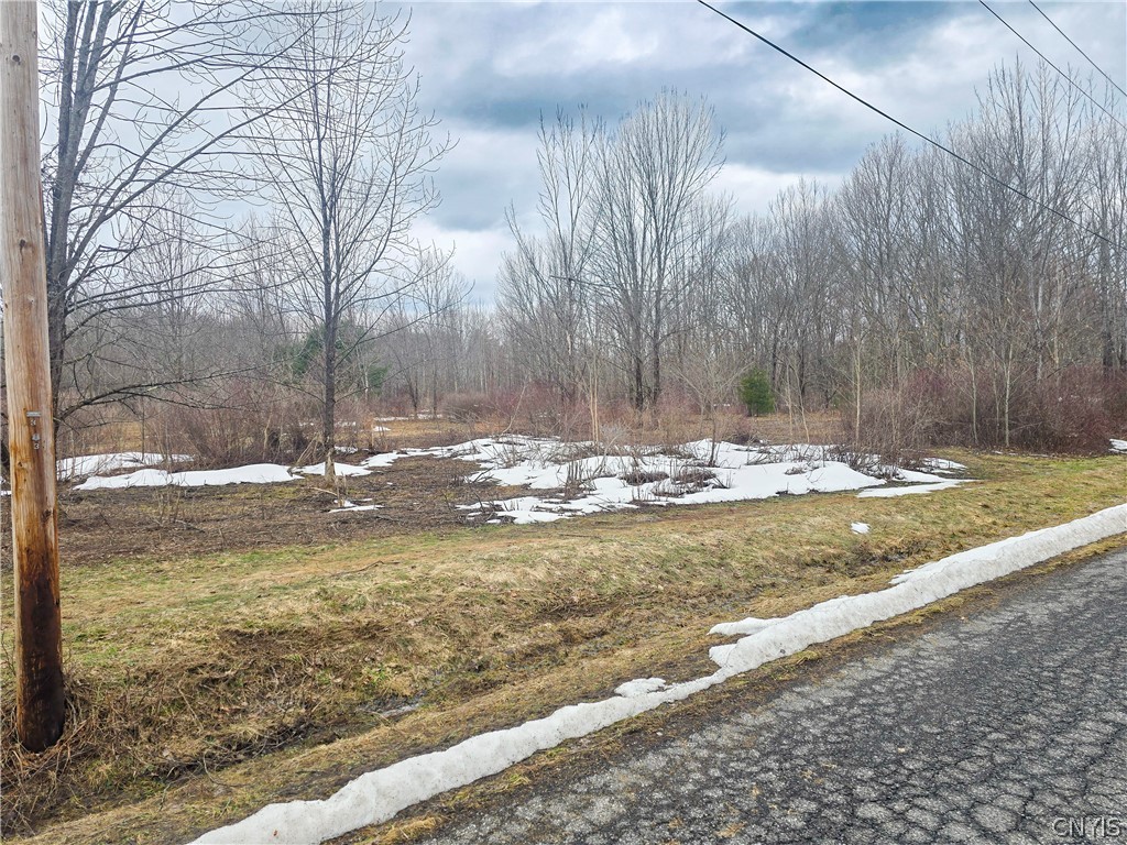 0 Depot Road Cleveland, NY 13042 - Photo 8 of 9