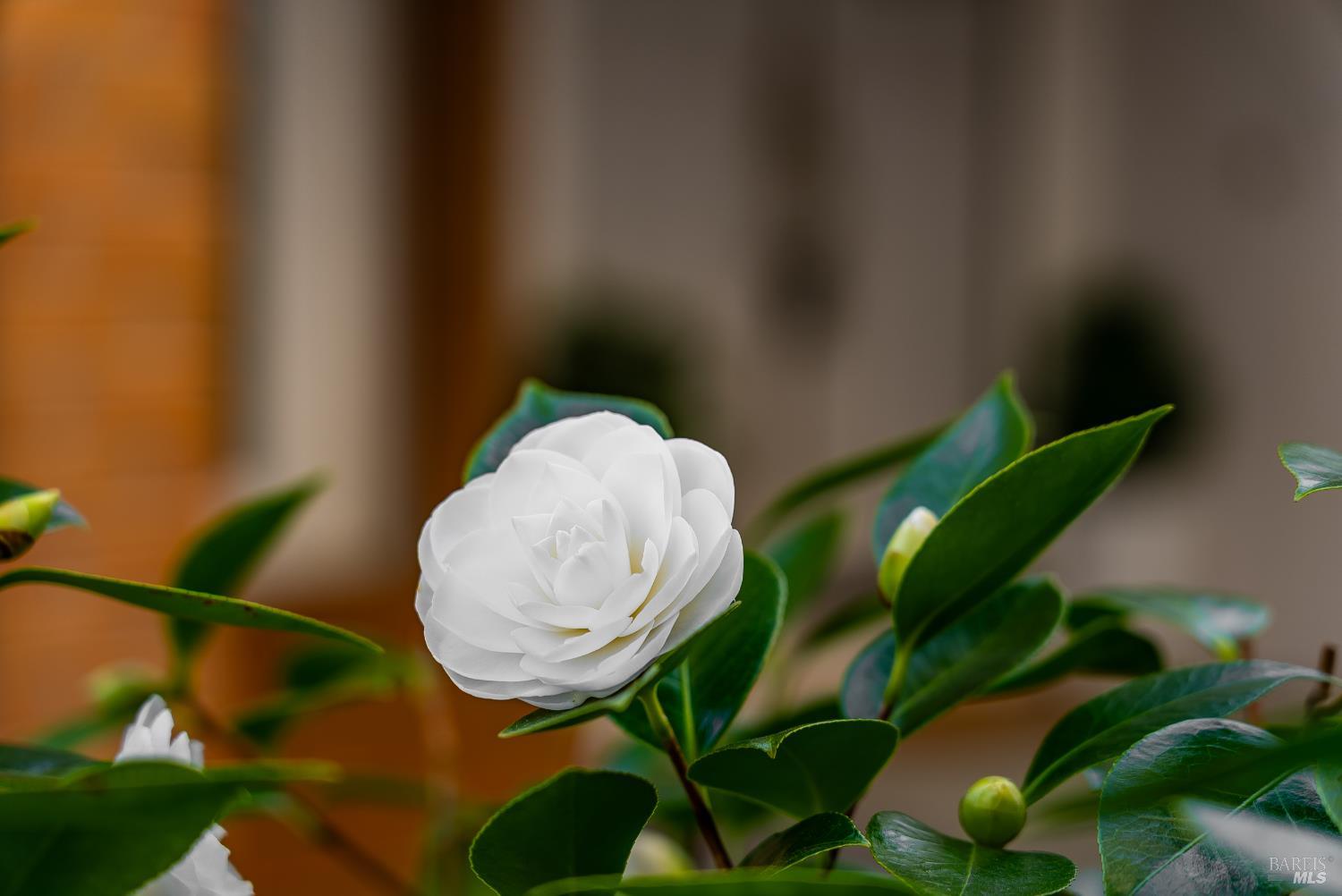 179 Oyster Pond Road Alameda, CA 94502 - Photo 74 of 98