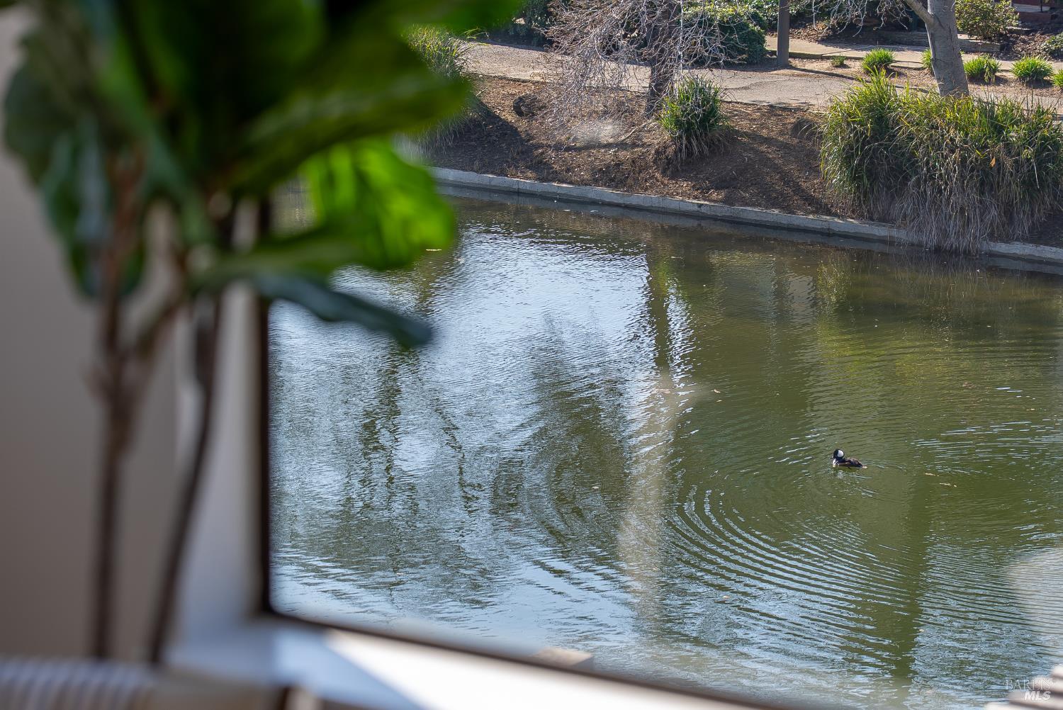 179 Oyster Pond Road Alameda, CA 94502 - Photo 84 of 98