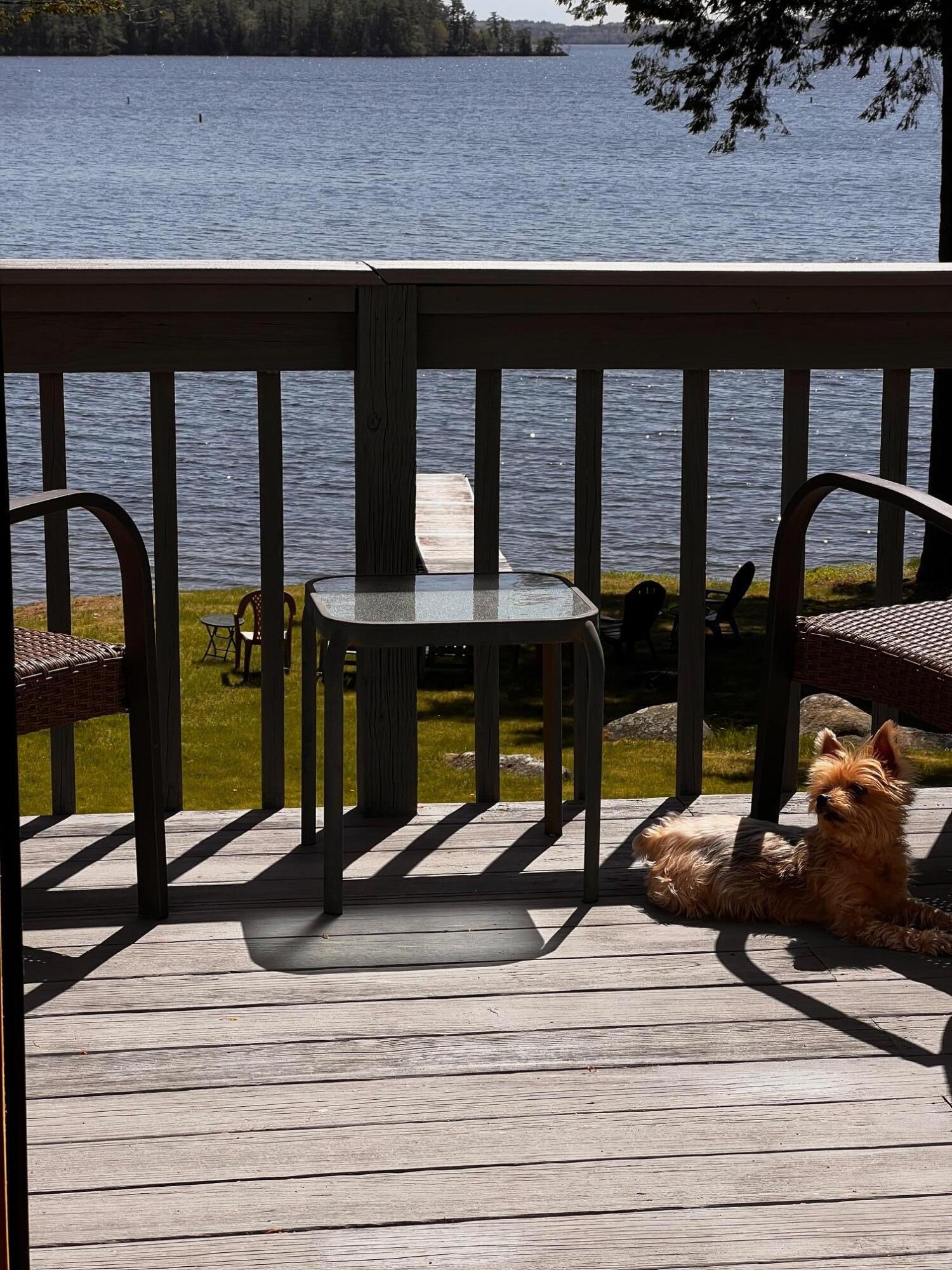 125 Mountain Drive Rome, ME 04963 - Photo 63 of 65 IMG_6267