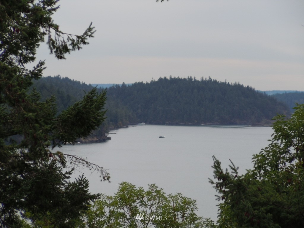 68 Bret Road Orcas Island, WA 98245 - Photo 5 of 15 Gallery Image 5
