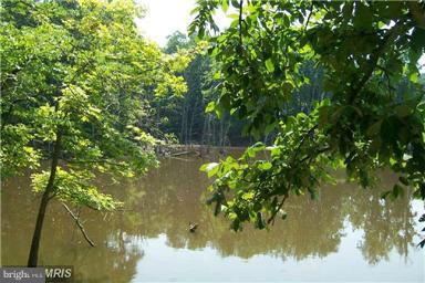 39486 Lime Kiln Road Leesburg, VA 20175 - Photo 5 of 5 Pond
