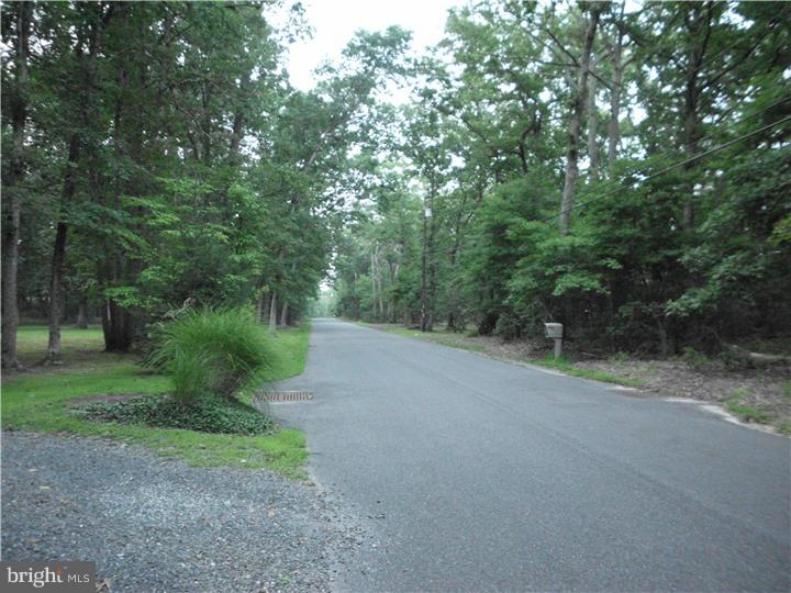 59 Bozarthtown Road Tabernacle, NJ 08088 - Photo 23 of 23
