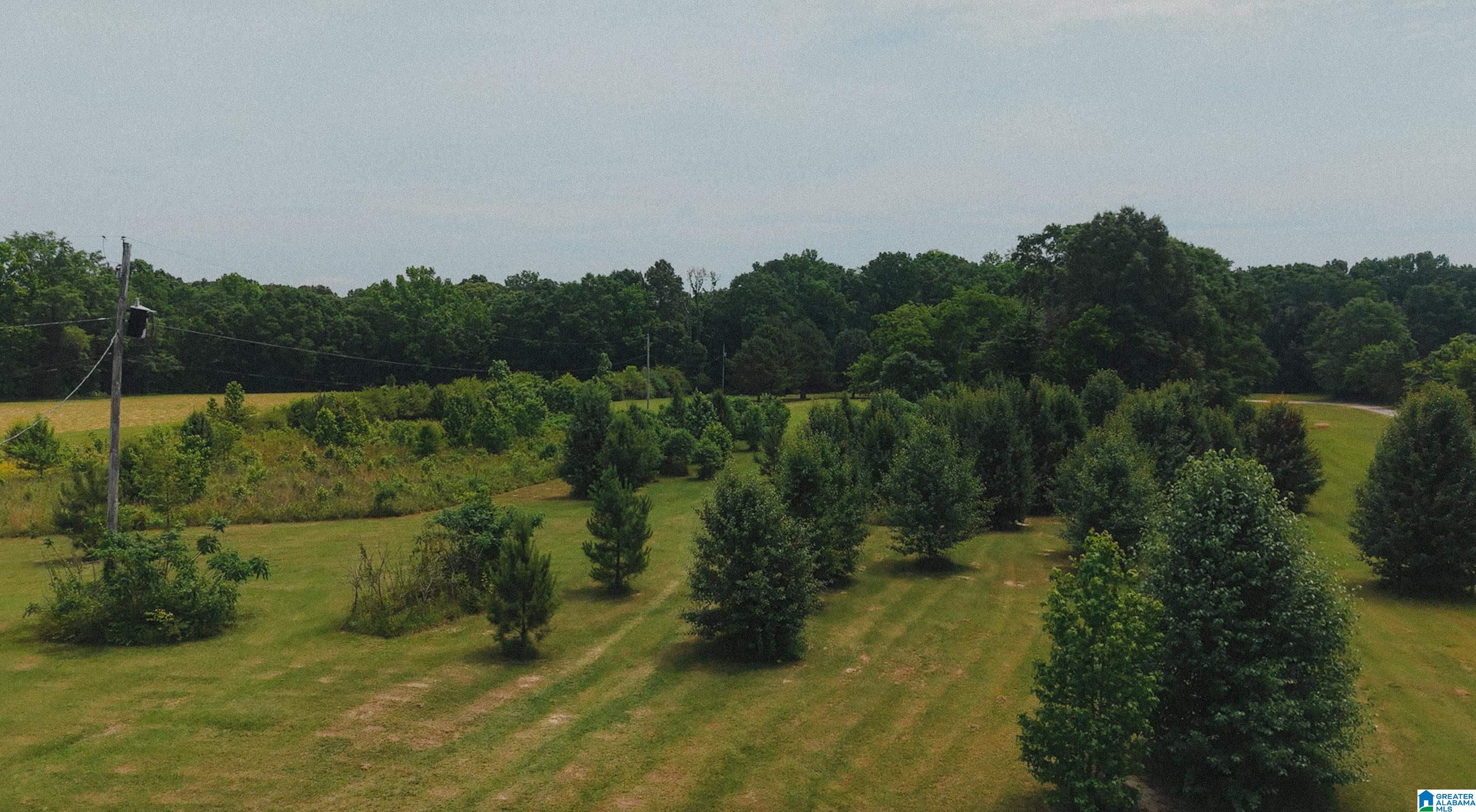 544 Fann Road Steele, AL 35987 - Photo 72 of 84