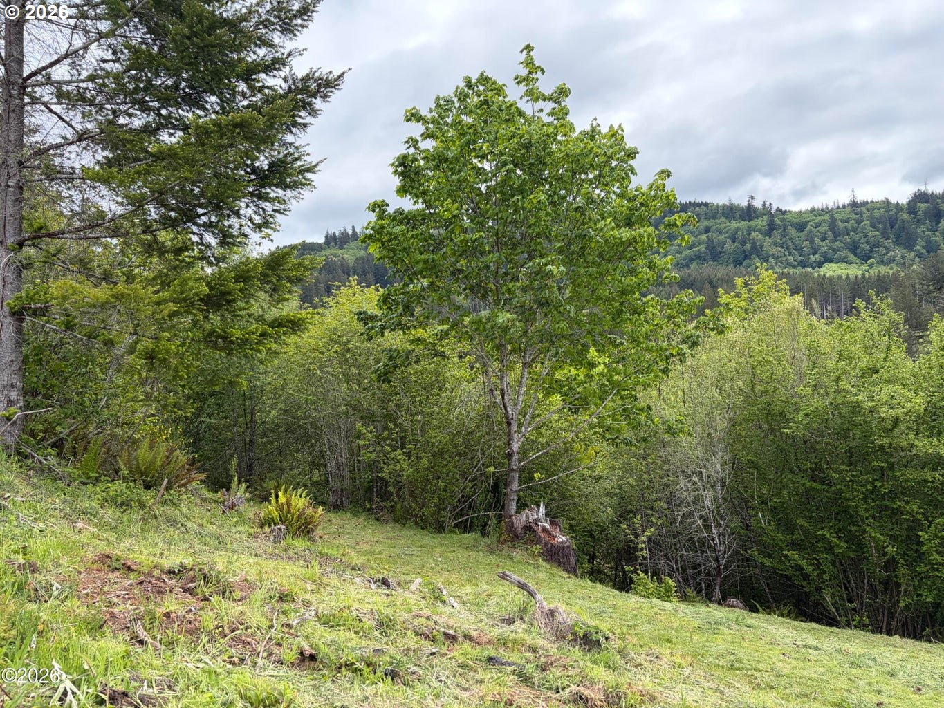 301 Upper Nestucca River Road Beaver, OR 97108 - Photo 11 of 23