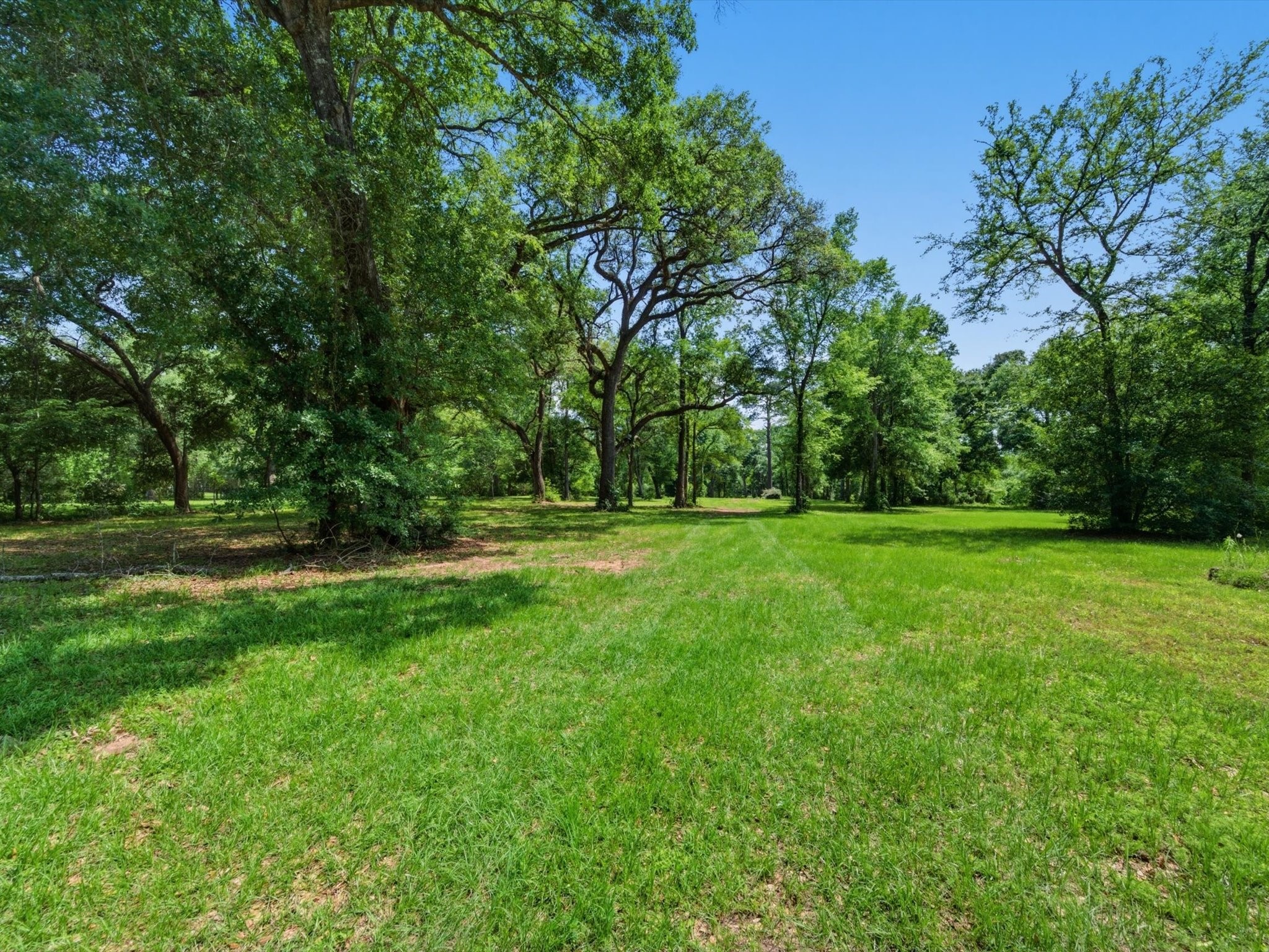 27855 Kresdorn Road Hockley, TX 77447 - Photo 4 of 24 a view of green field