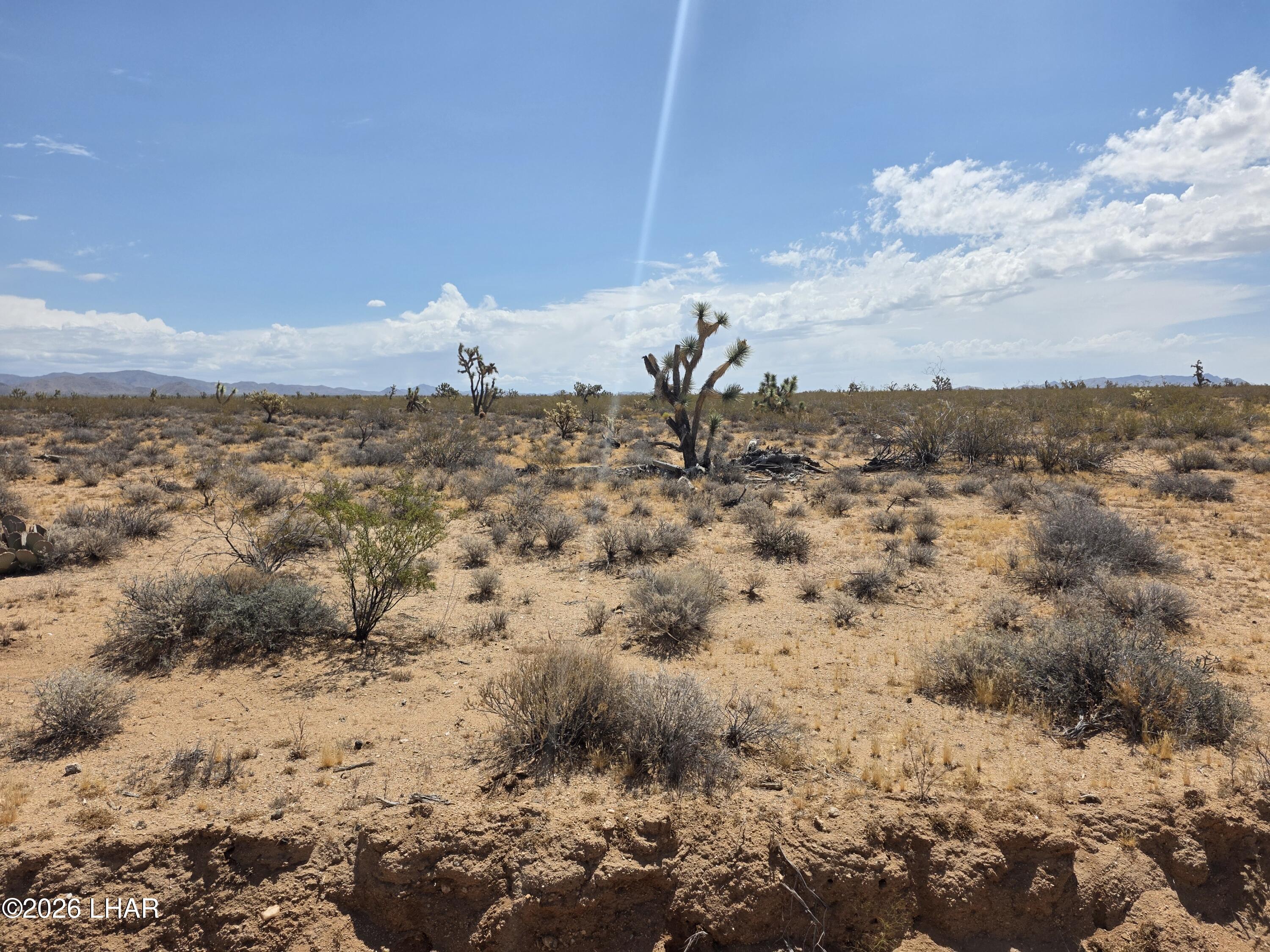 Parcel2328 South Tom Mix Road Yucca, AZ 86438 - Photo 14 of 17