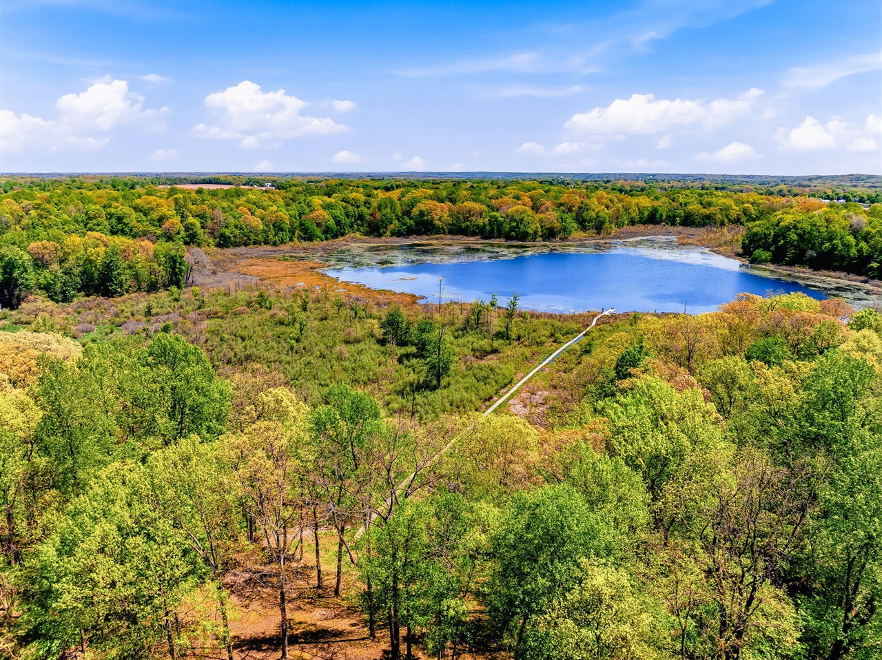 2099 East Clear Lake Road Buchanan, MI 49107 - Photo 46 of 65