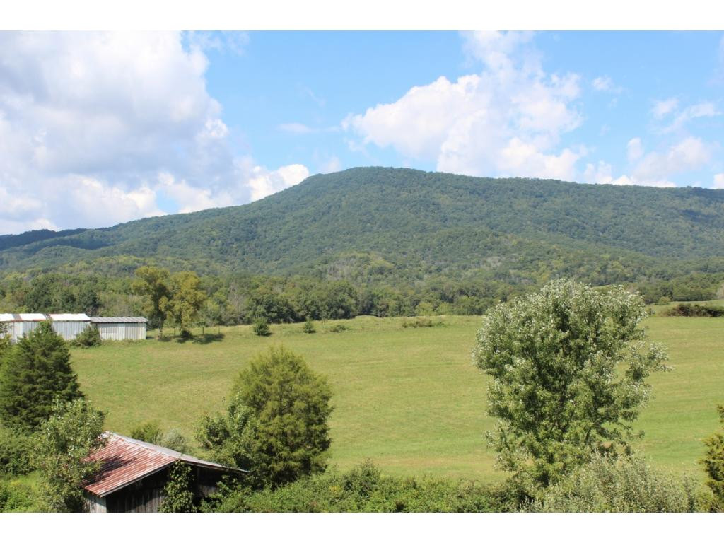 356 McAmis Road Greeneville, TN 37745 - Photo 36 of 36 Photo 36