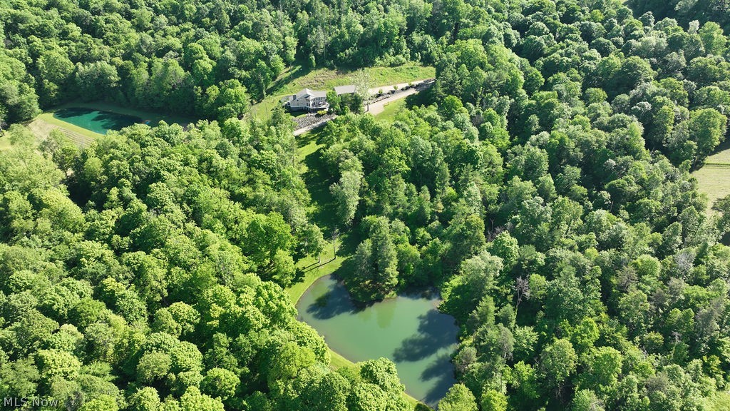 5234 Ribbon Road Southwest Bowerston, OH 44695 - Photo 4 of 50 Aerial view of home featuring a pond