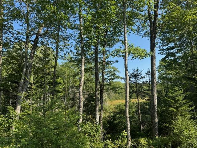 Map4-lot26 Southern Bay Road Penobscot, ME 04476 - Photo 6 of 8 IMG_4314