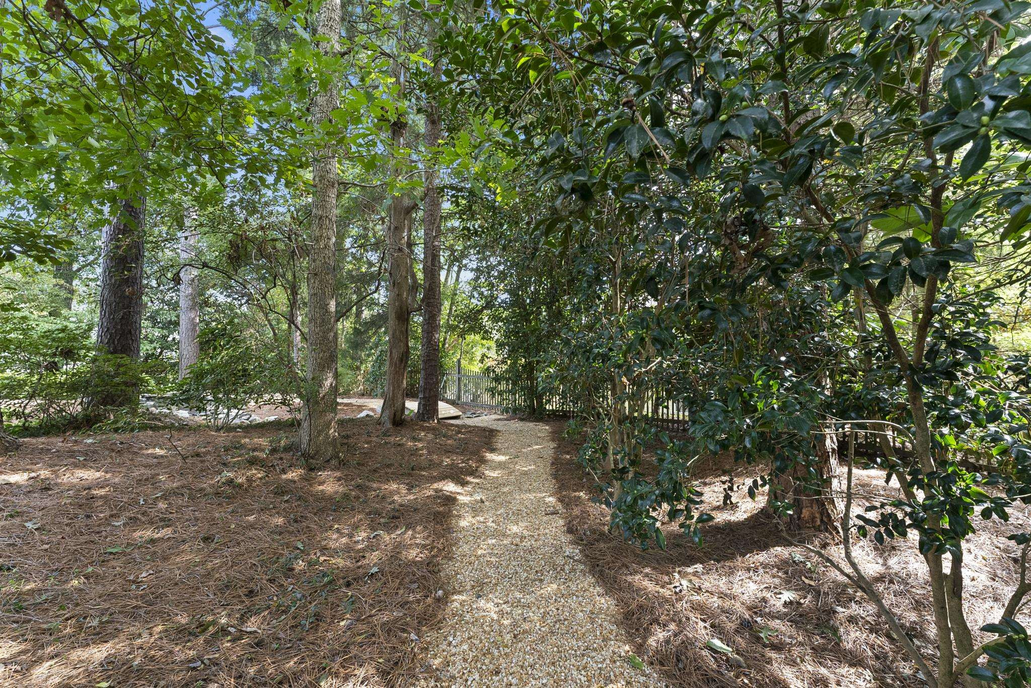 1608 Falls River Avenue Raleigh, NC 27614 - Photo 44 of 65 a view of a forest with trees in the background