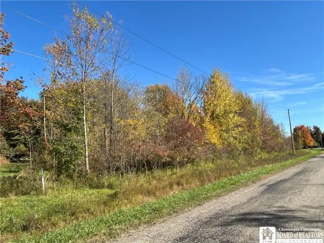 $26,900 | 0 Gibbs, Forestville, NY 14062