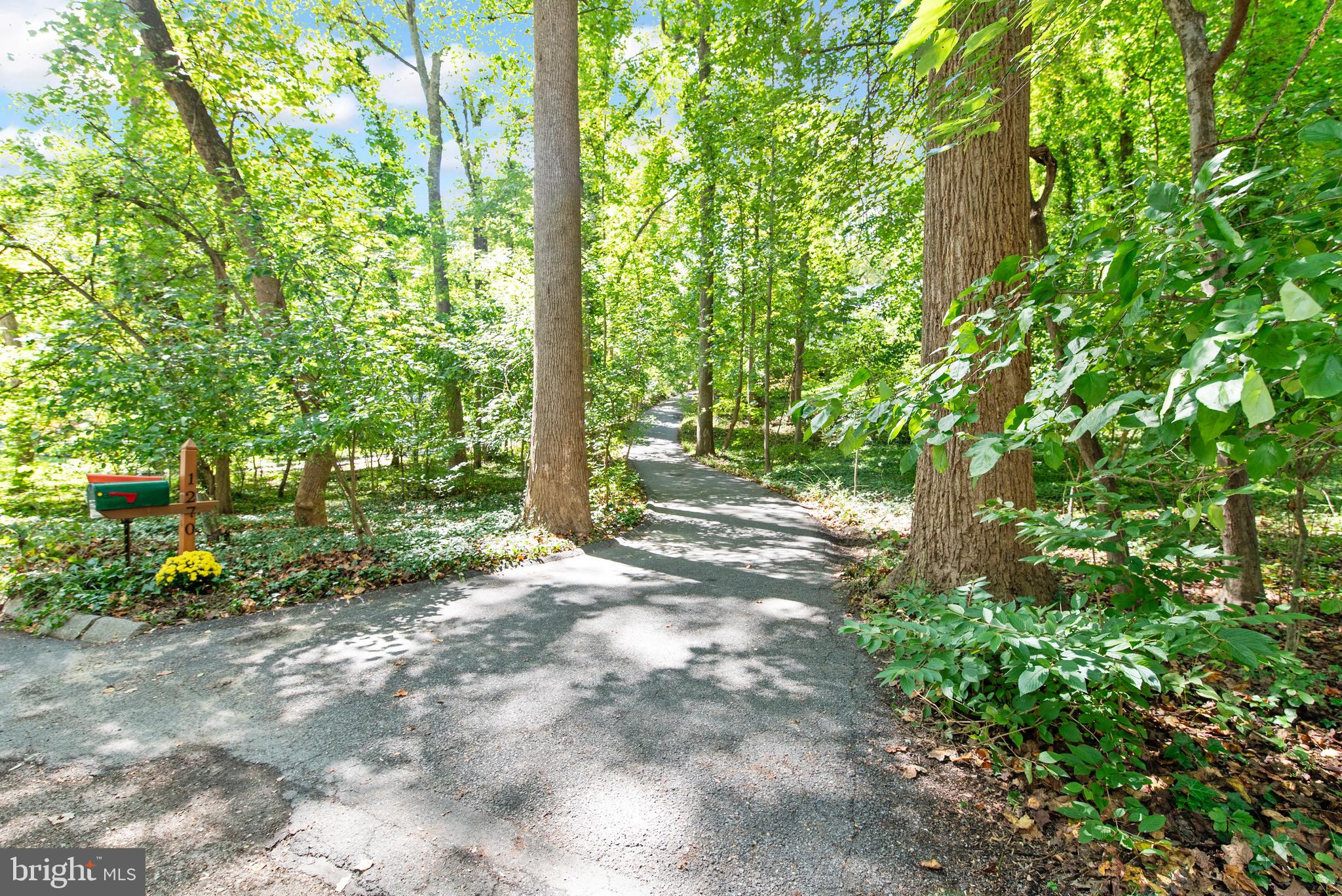 1270 Dorothy Road Crownsville, MD 21032 - Photo 54 of 58 Welcome Home! Open Saturday, September 13th 1-3 pm