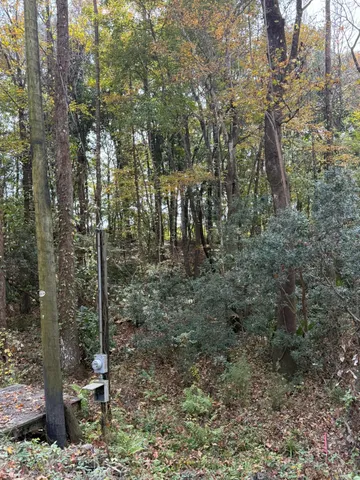 $220,000 | 0 Yellow House Place, Charleston, SC 29492