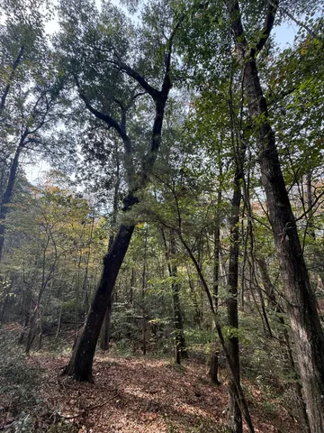 $250,000 | 0 Yellow House Place, Charleston, SC 29492