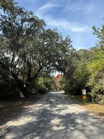 $250,000 | 0 Yellow House Place, Charleston, SC 29492