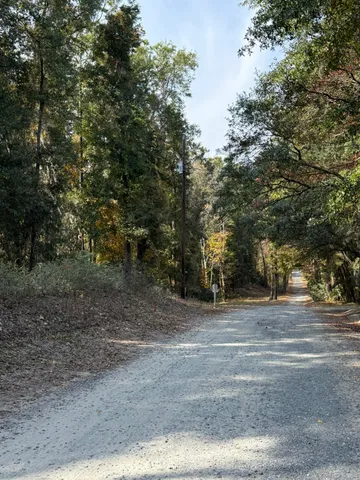 $250,000 | 0 Yellow House Place, Charleston, SC 29492