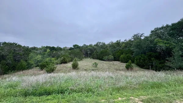 a view of a field