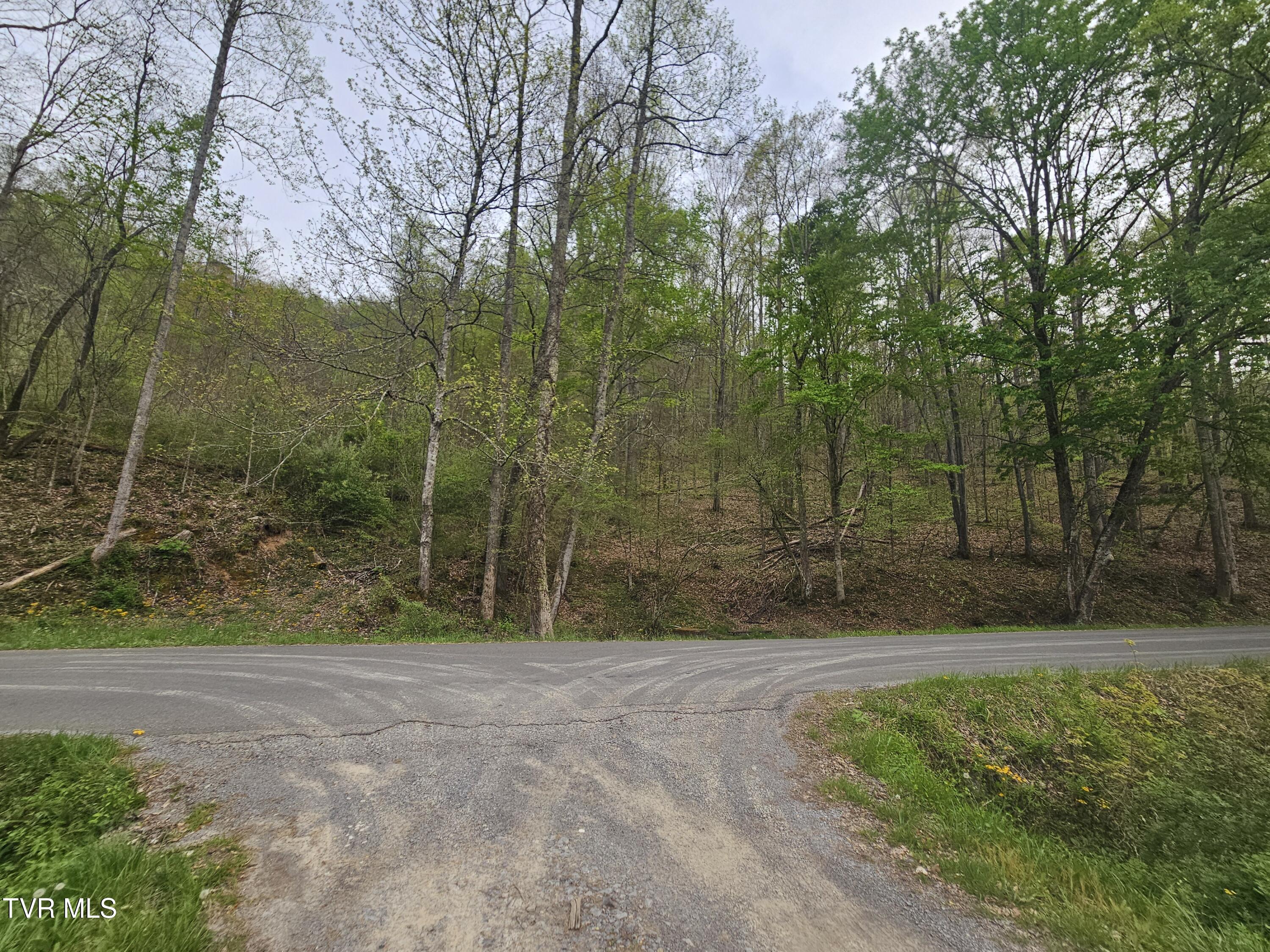2320 Left Poor Valley Road Pennington Gap, VA 24277 - Photo 8 of 13 20250420_181733