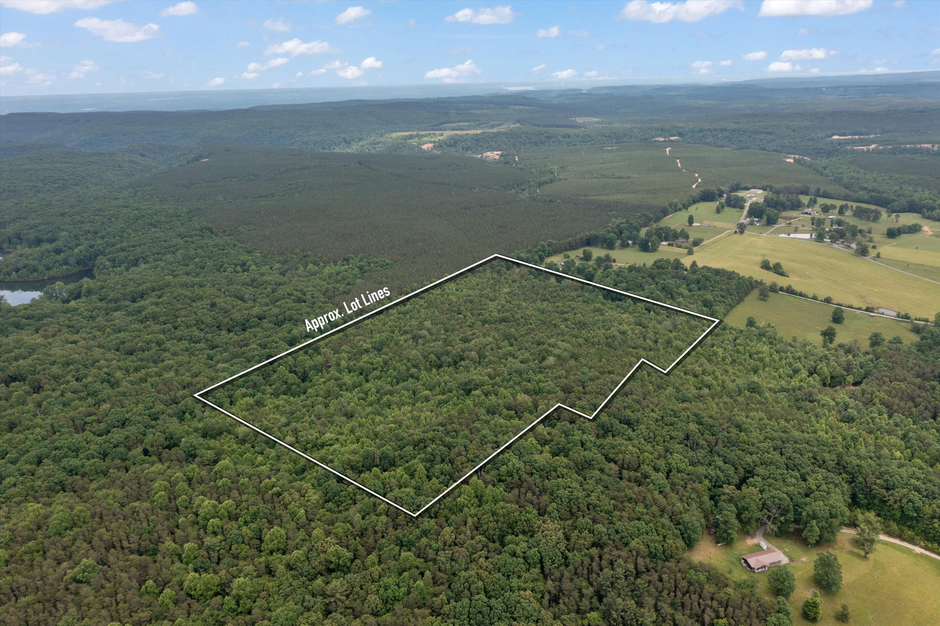 0 Suzanne Road Graysville, TN 37338 - Photo 1 of 13 01-DJI_0488