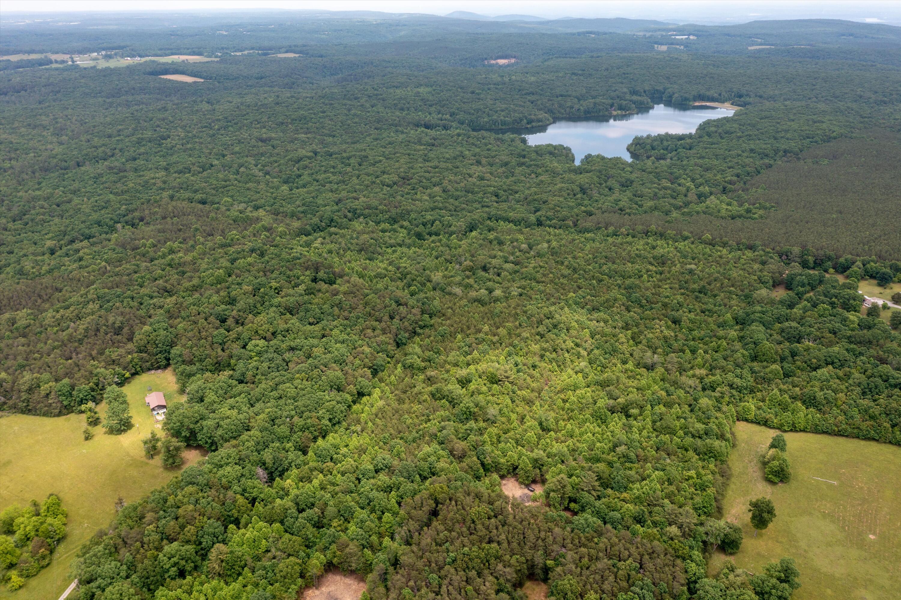 0 Suzanne Road Graysville, TN 37338 - Photo 3 of 13 03-DJI_0469