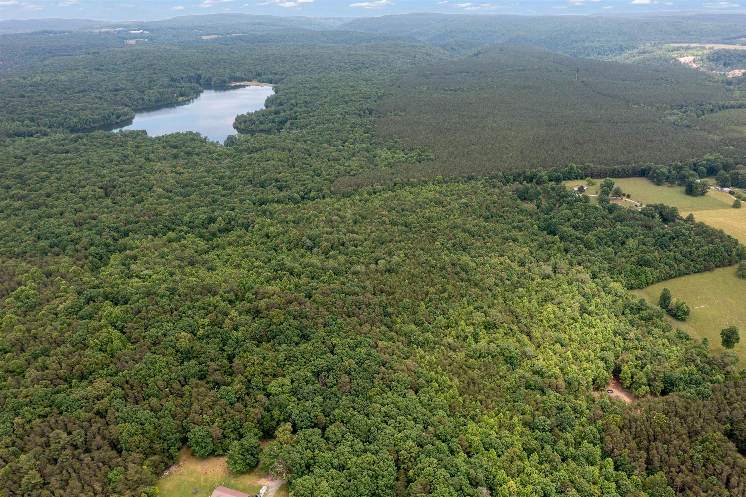 0 Suzanne Road Graysville, TN 37338 - Photo 6 of 13 06-DJI_0484