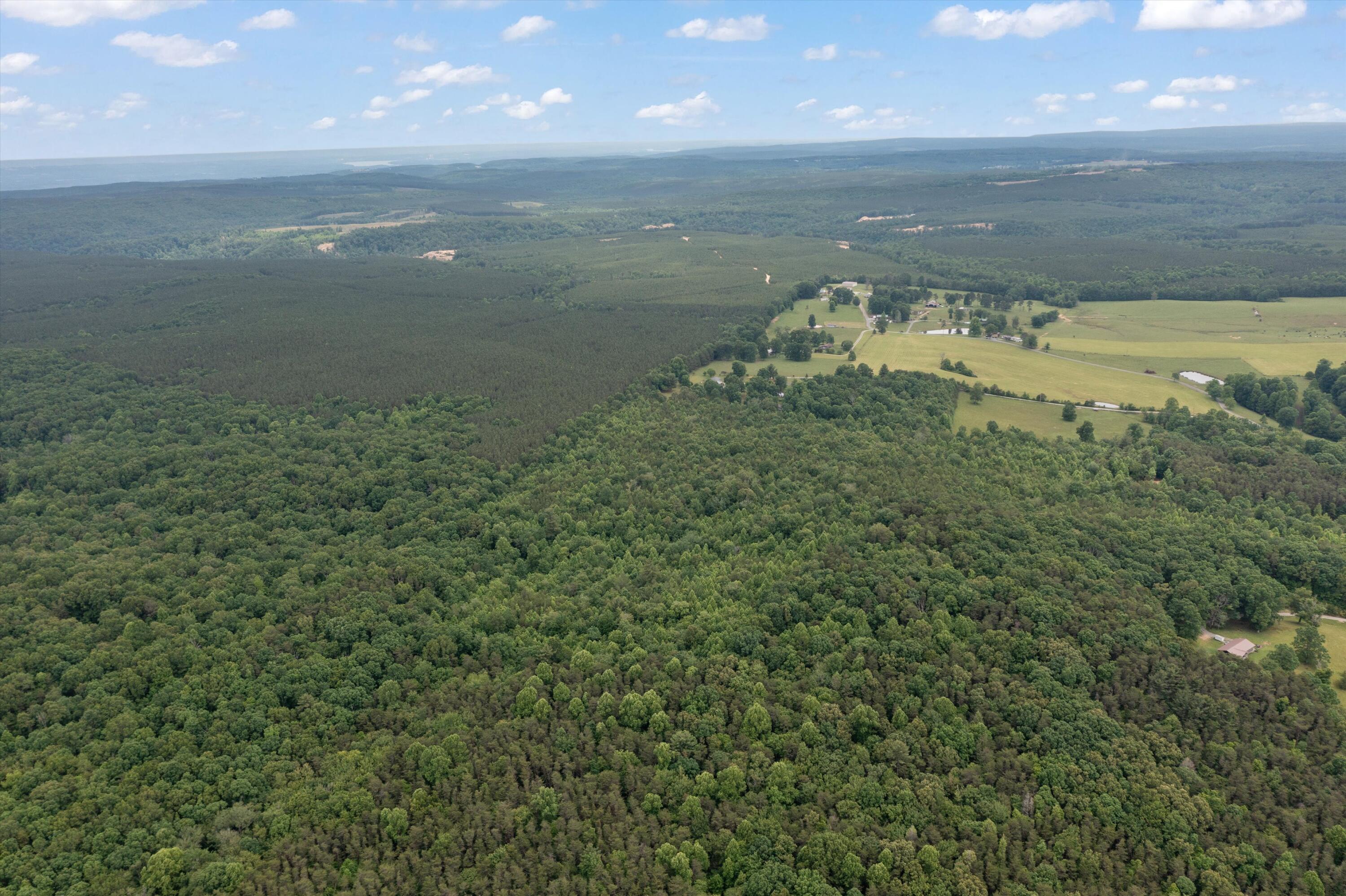 0 Suzanne Road Graysville, TN 37338 - Photo 8 of 13 08-DJI_0493