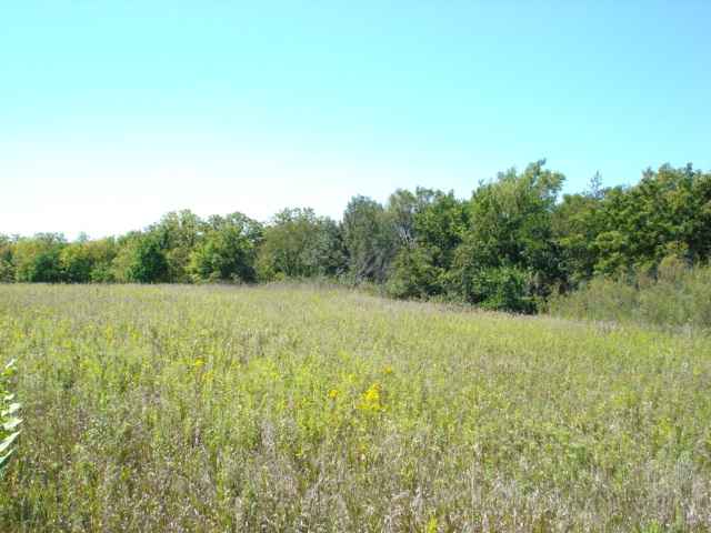 0 West Sommerfield Road Trivoli, IL 61569 - Photo 2 of 6