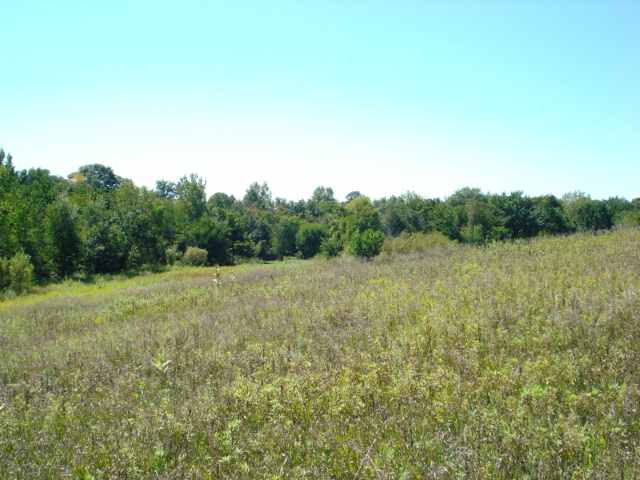 0 West Sommerfield Road Trivoli, IL 61569 - Photo 3 of 6