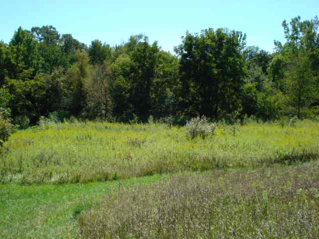 0 West Sommerfield Road Trivoli, IL 61569 - Photo 4 of 6