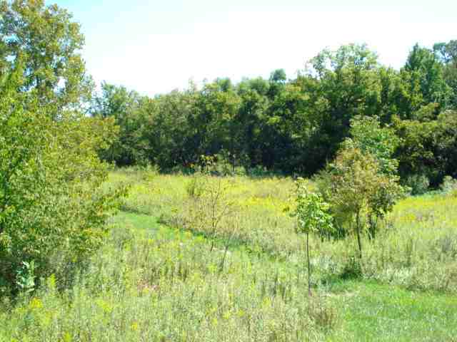 0 West Sommerfield Road Trivoli, IL 61569 - Photo 5 of 6