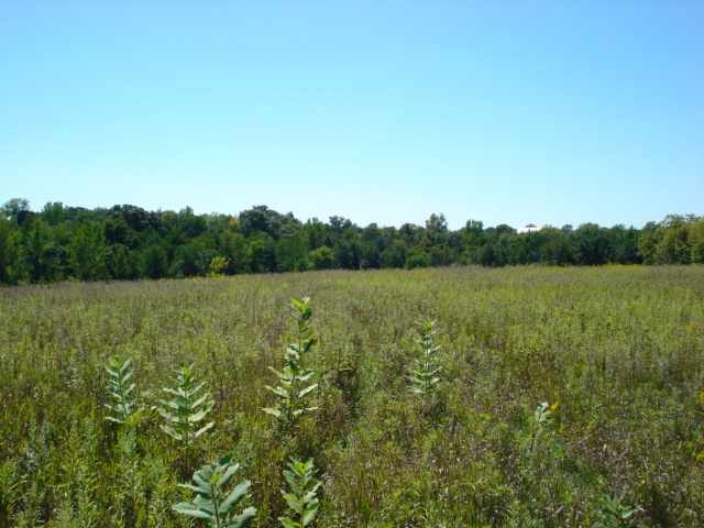 0 West Sommerfield Road Trivoli, IL 61569 - Photo 6 of 6
